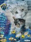 Happy MerMay (Katia and Kali)Merkitties gif