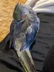 My little baby is snoozin'!