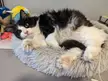 Friday Floof