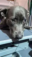 Home girl just made it out of the shelter system… give her some internet love because she looks fucking terrified 