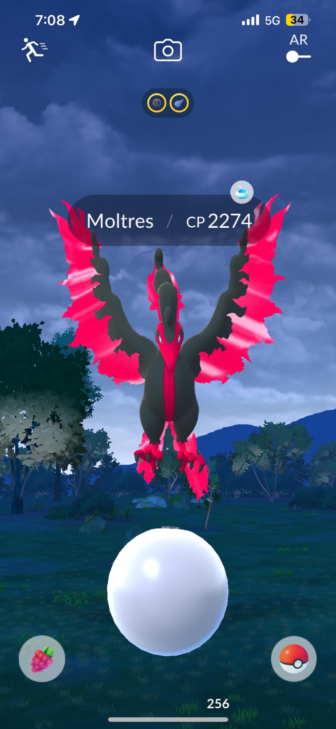 finally-had-my-first-encounter-scrolller