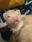 When you don’t want to wake up in the morning