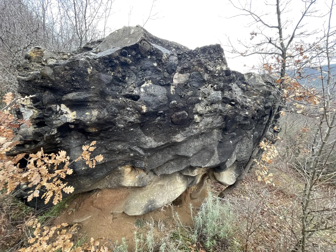 Gaggled Like Rocks Why does this rock look like this and is it from an ancient ocean ...