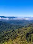 View of the Santa Cruz Mountains from the Skyline-to-the-Sea Trail, Castle Rock State Park, Feb. 2020 [OC][1536x2048]