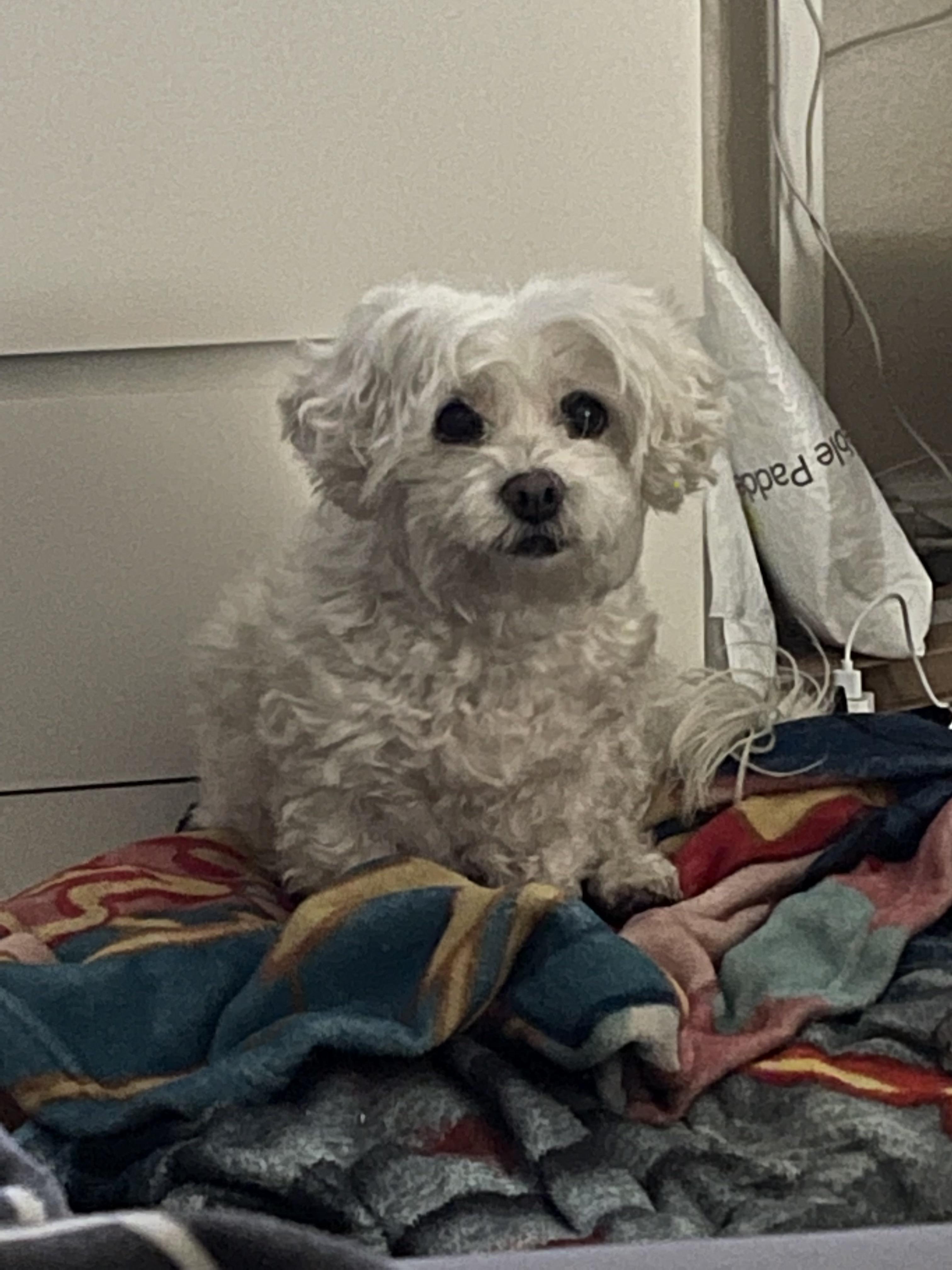 Did someone say treats?