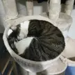 Sleeping