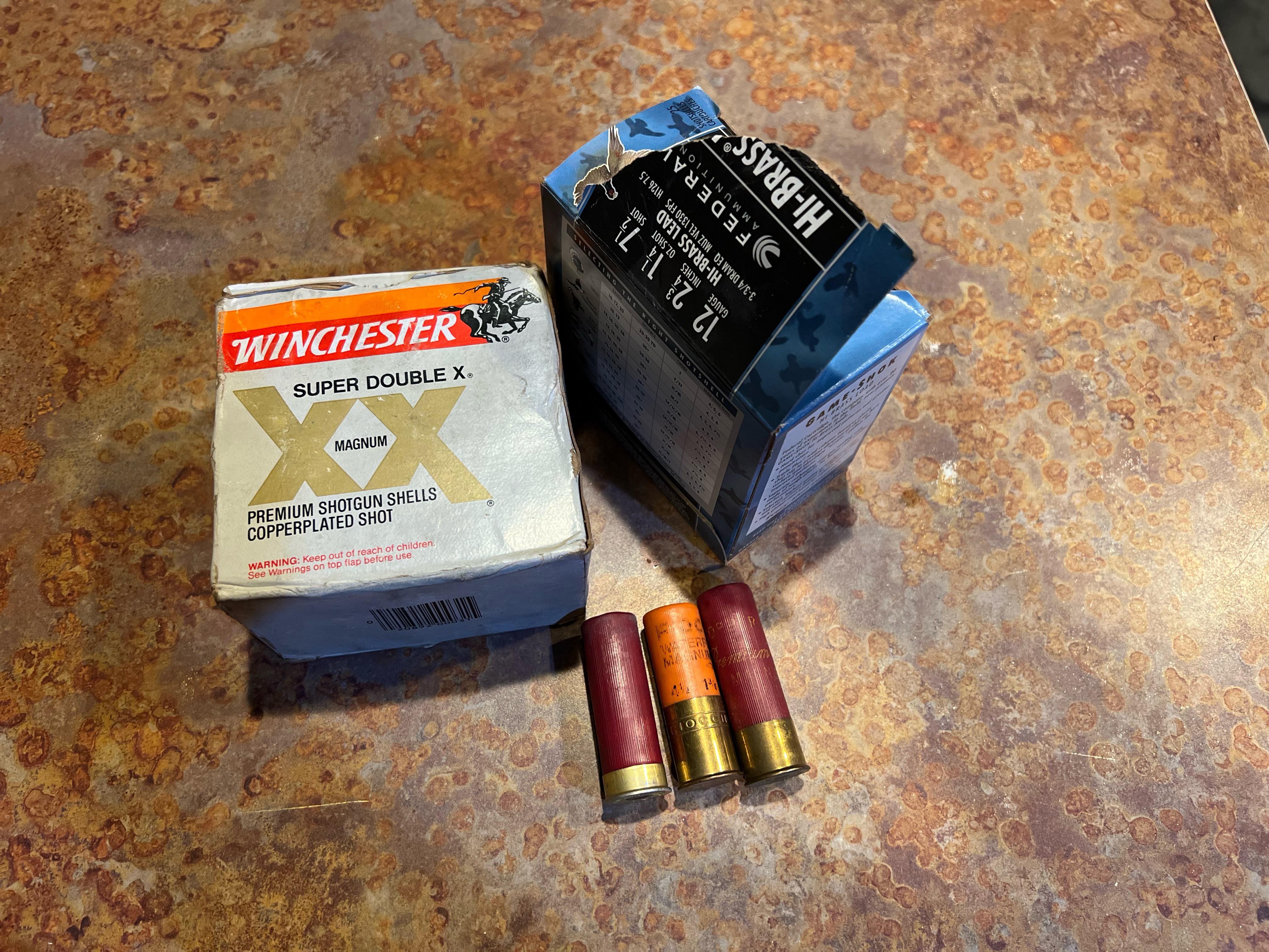 Different shotshells. Safe in semi auto?