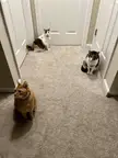 Tight 360 security.