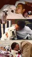 Just lost my soul bulldog 🐷 after being together 12 years. The first dog I adopted, the day I moved out at 18. She made me feel the unconditional love, joy and loyalty she always had to give💫 Now I'm a heartbroken, lost soul, who'll never get the same love, joy &amp; loyalty that he once always did 🐾
