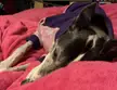 My post-op nurse 🤍