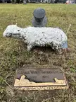 A Little Lamb Marking a Child’s Grave With a Detailed Backstory