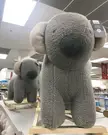 Cute koala in target