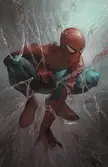 Spider-Man by Takrezz