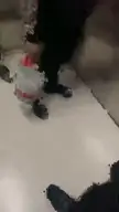 Timing is vital : "You must know when and where to bark"