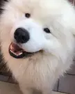 what are you laughing at??
