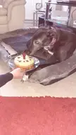 Cake for the birthday girl!