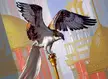 Ghirapur Osprey by Zezhou Chen