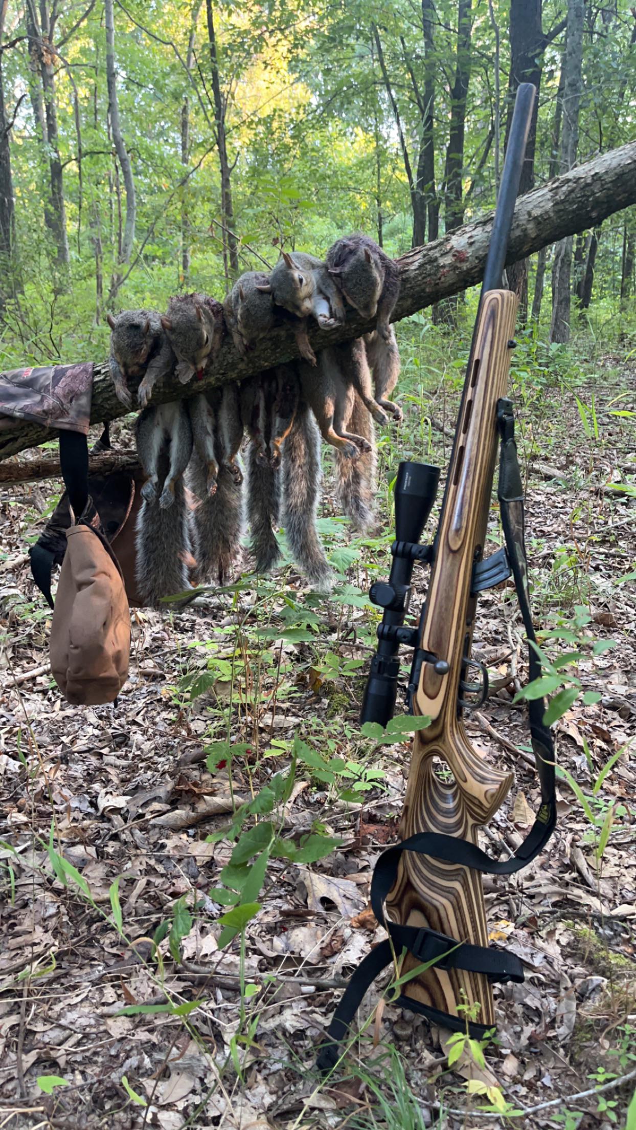 Hunting trophy display of squirrels hanging from a rifle leaning against a fallen log in the forest