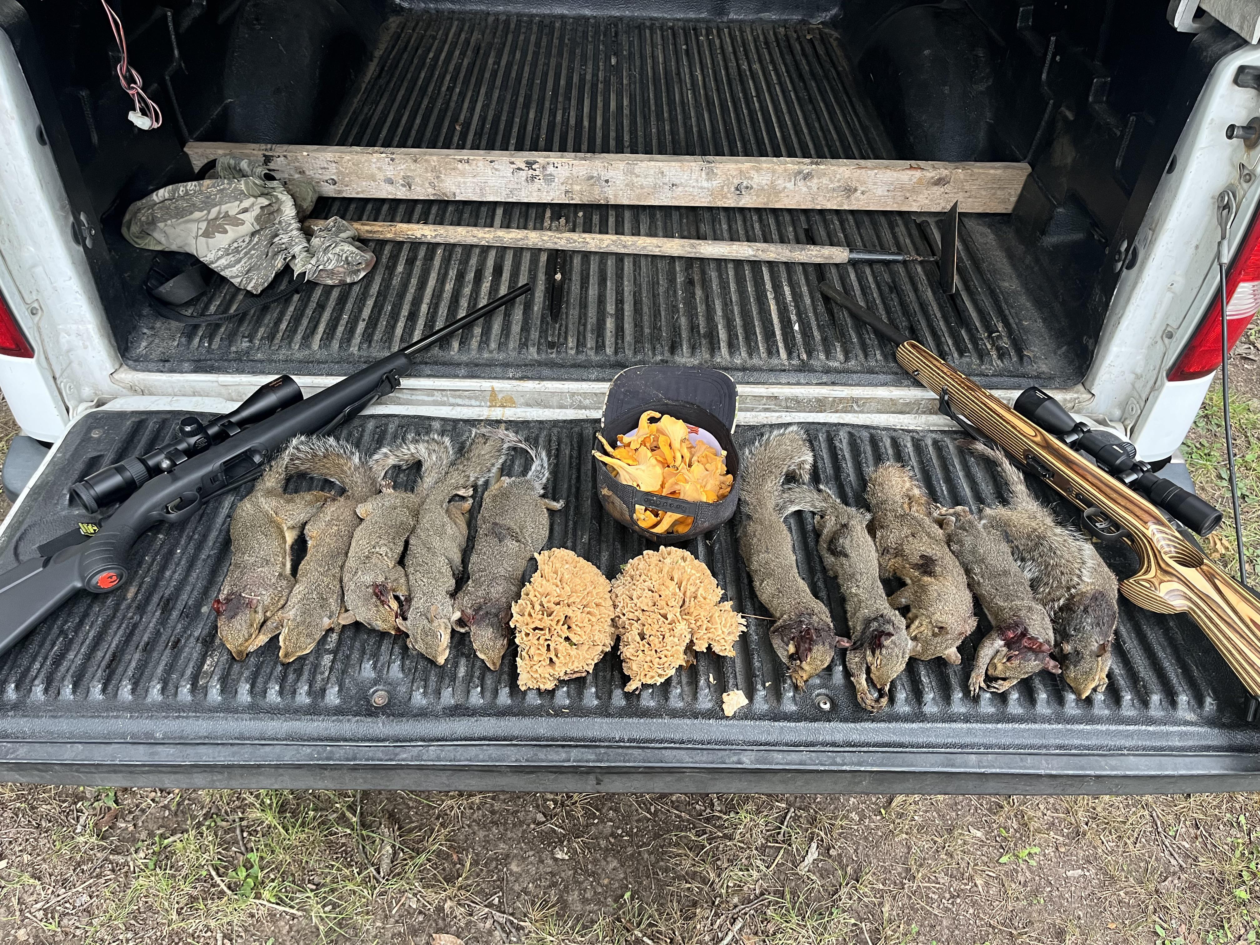 Hunting trophy display of squirrels hanging from a rifle leaning against a fallen log in the forest