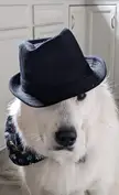 He’s mad at you