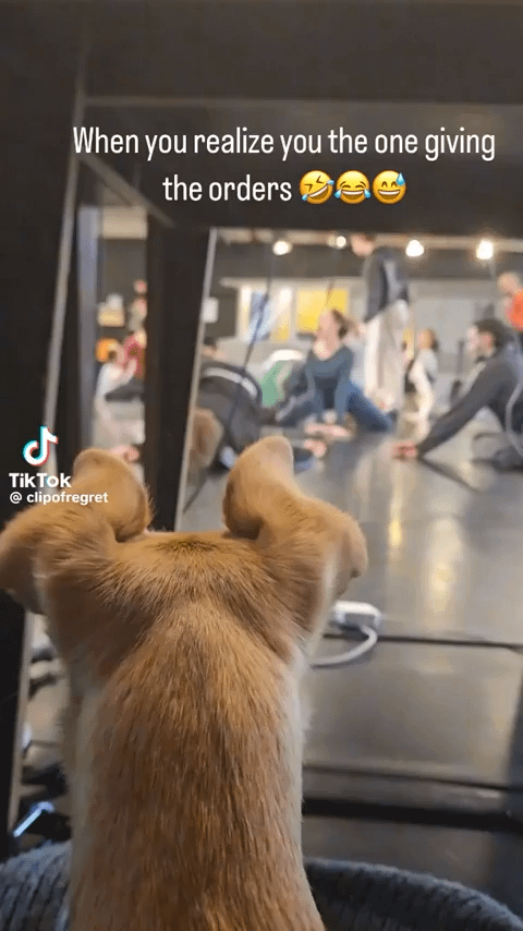 Awww