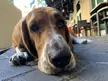 Take all the pictures you want…I’m not moving.