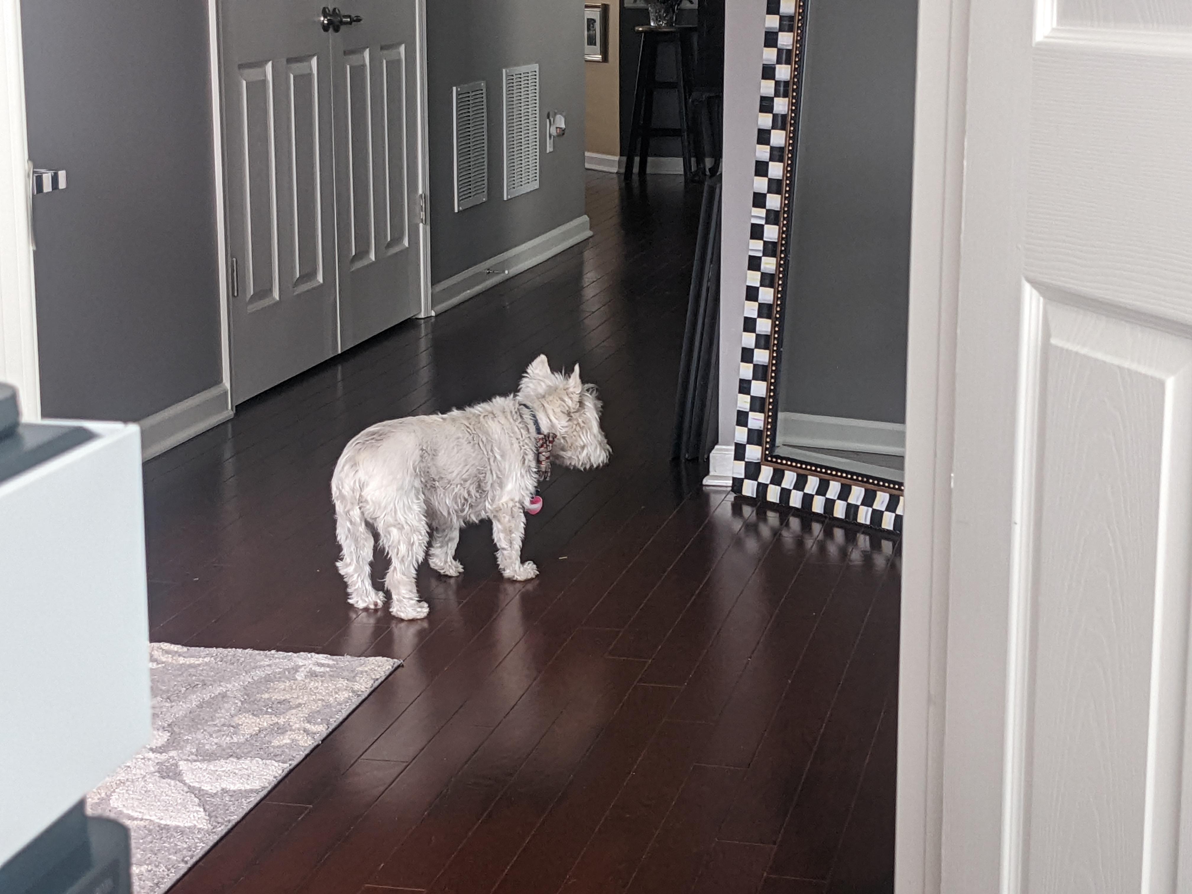 I caught him checking himself out in the mirror