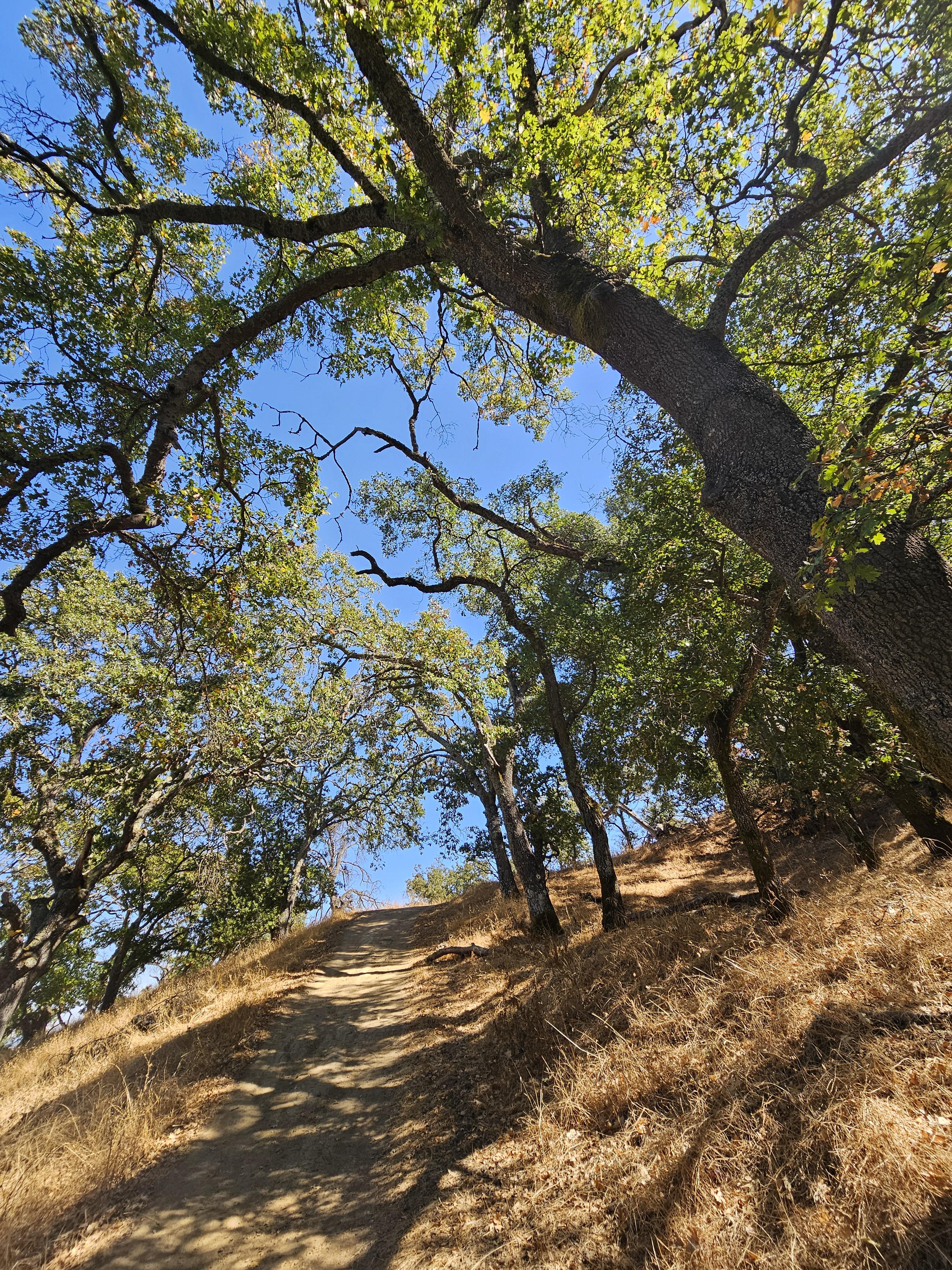 pleasanton