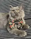 Going for his first job interview.