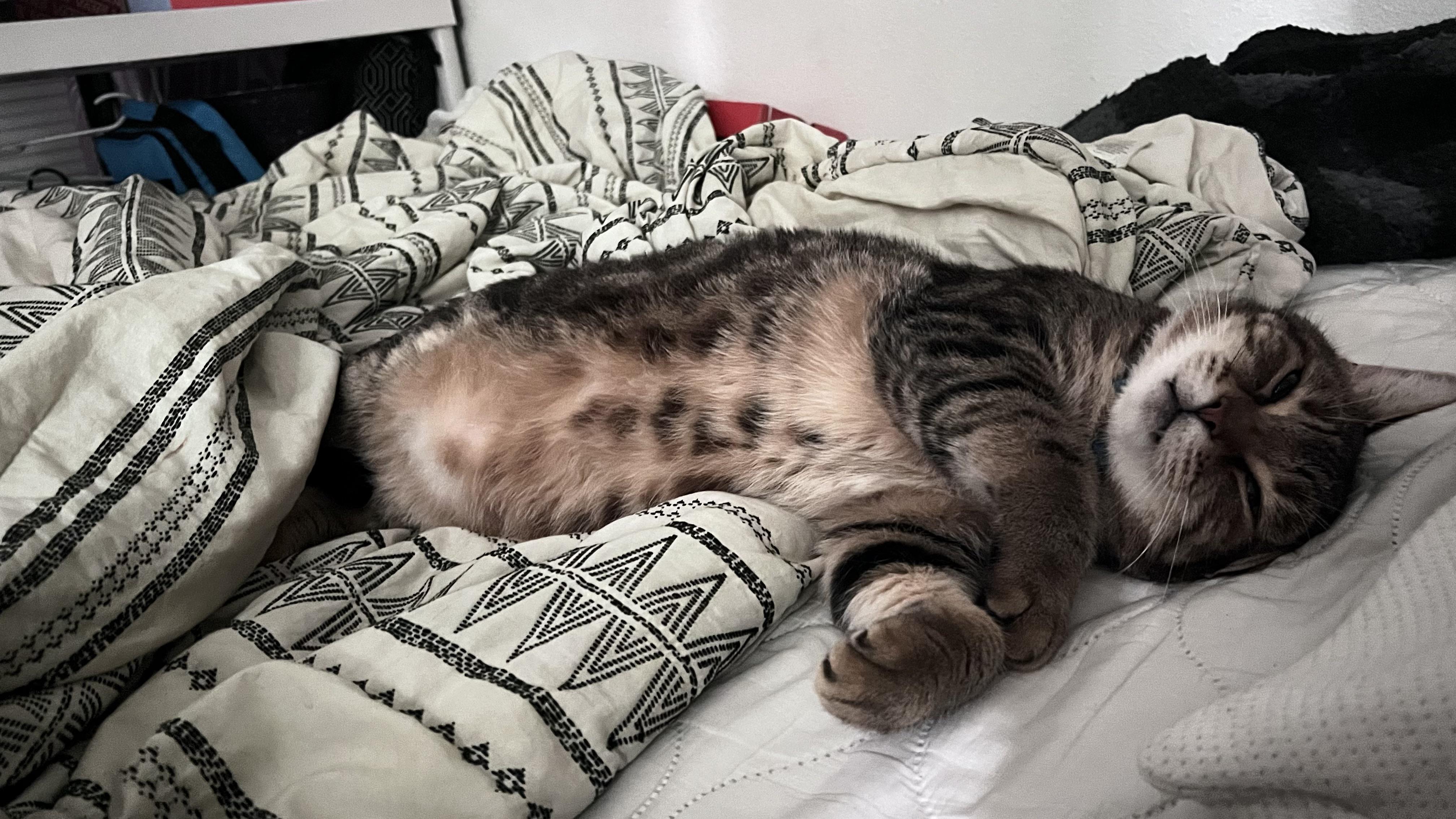My big boy