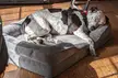 Today is my girls 2nd "gotcha day". Best. Decision. Ever.