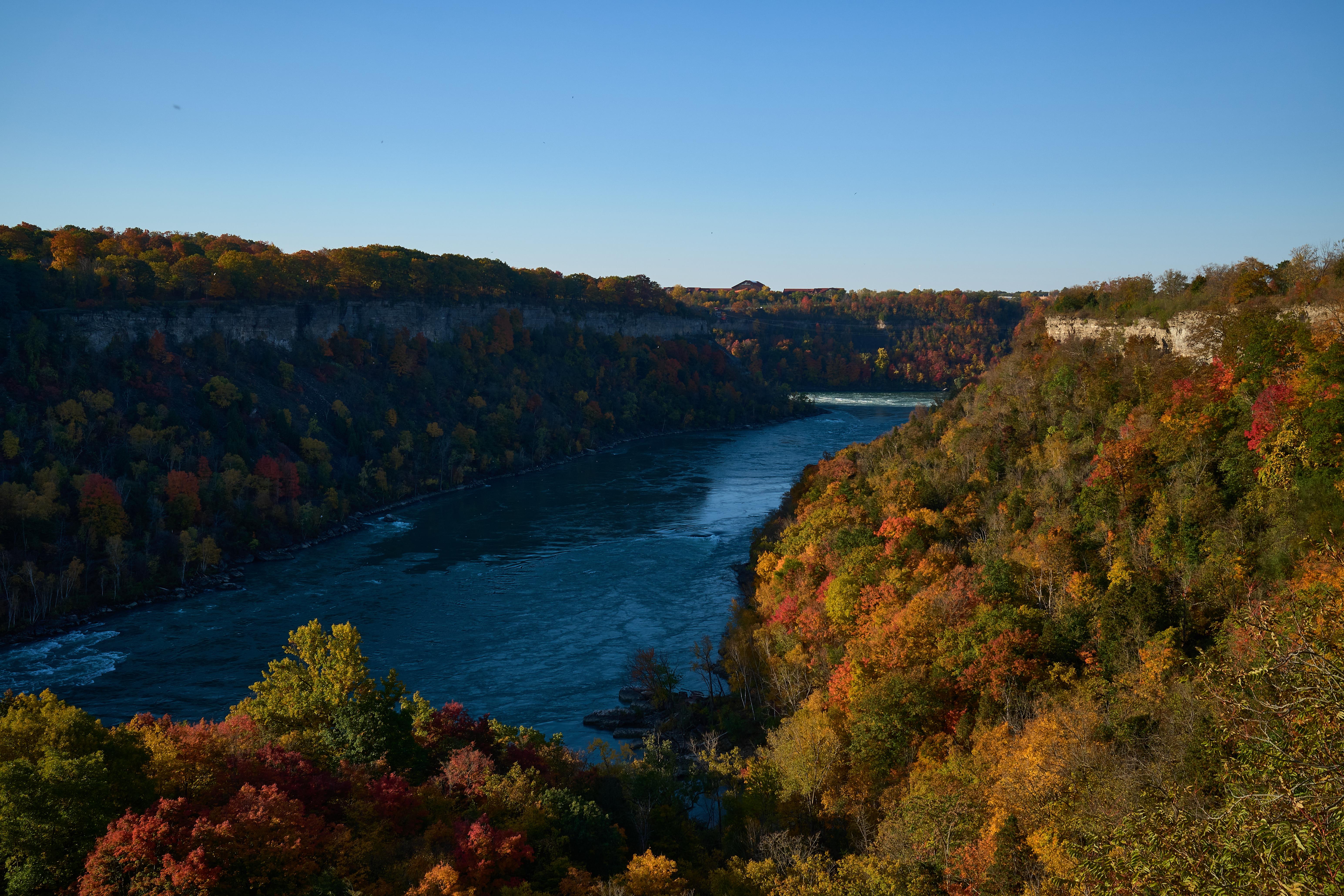 Autumn morning at Niagara Glen [OC]