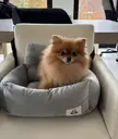 Ready to go on a car trip 🥰🚗