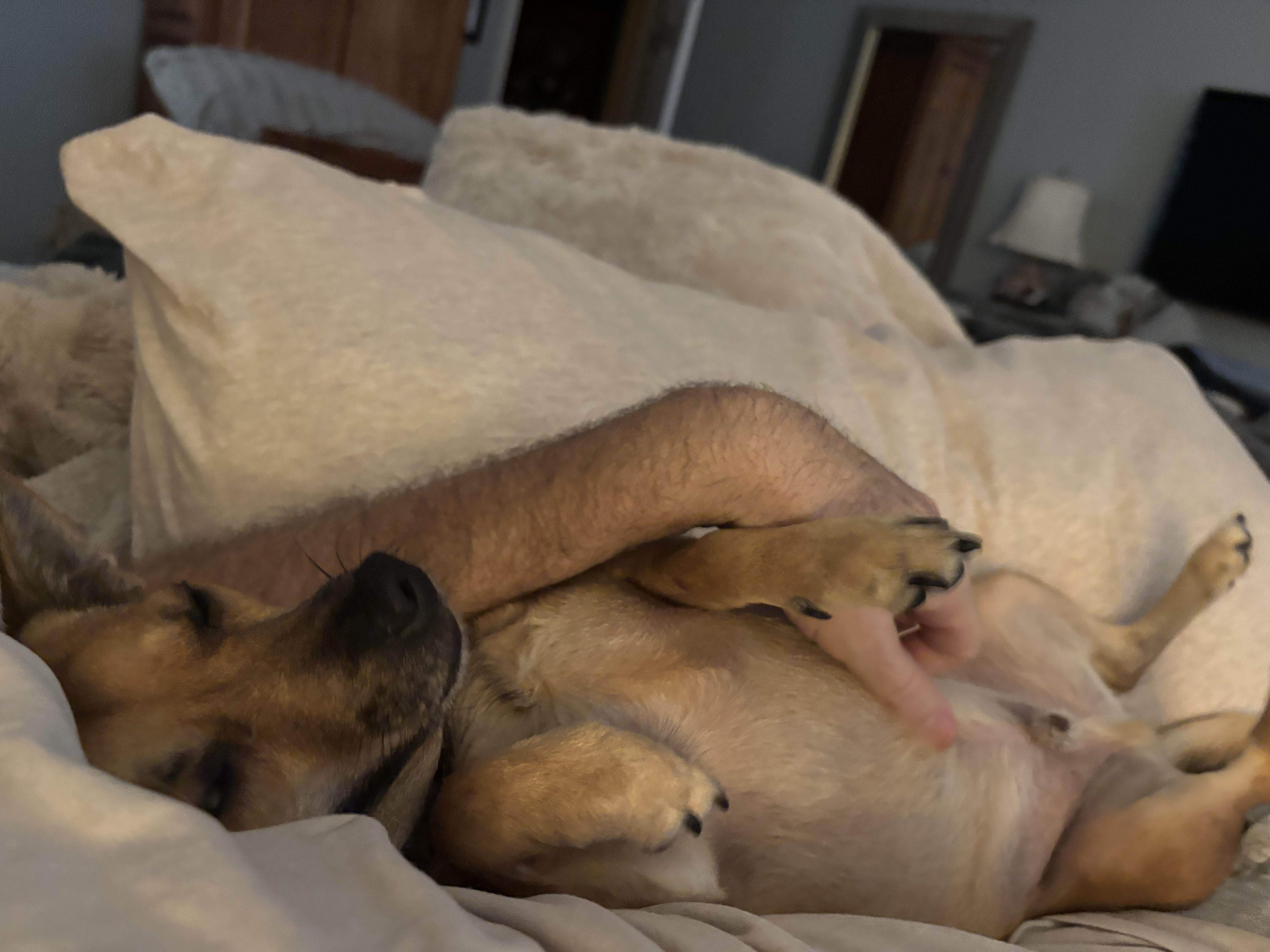 Hug Chi Show Me Your Snuggly Chi Pic! 😊 | Scrolller