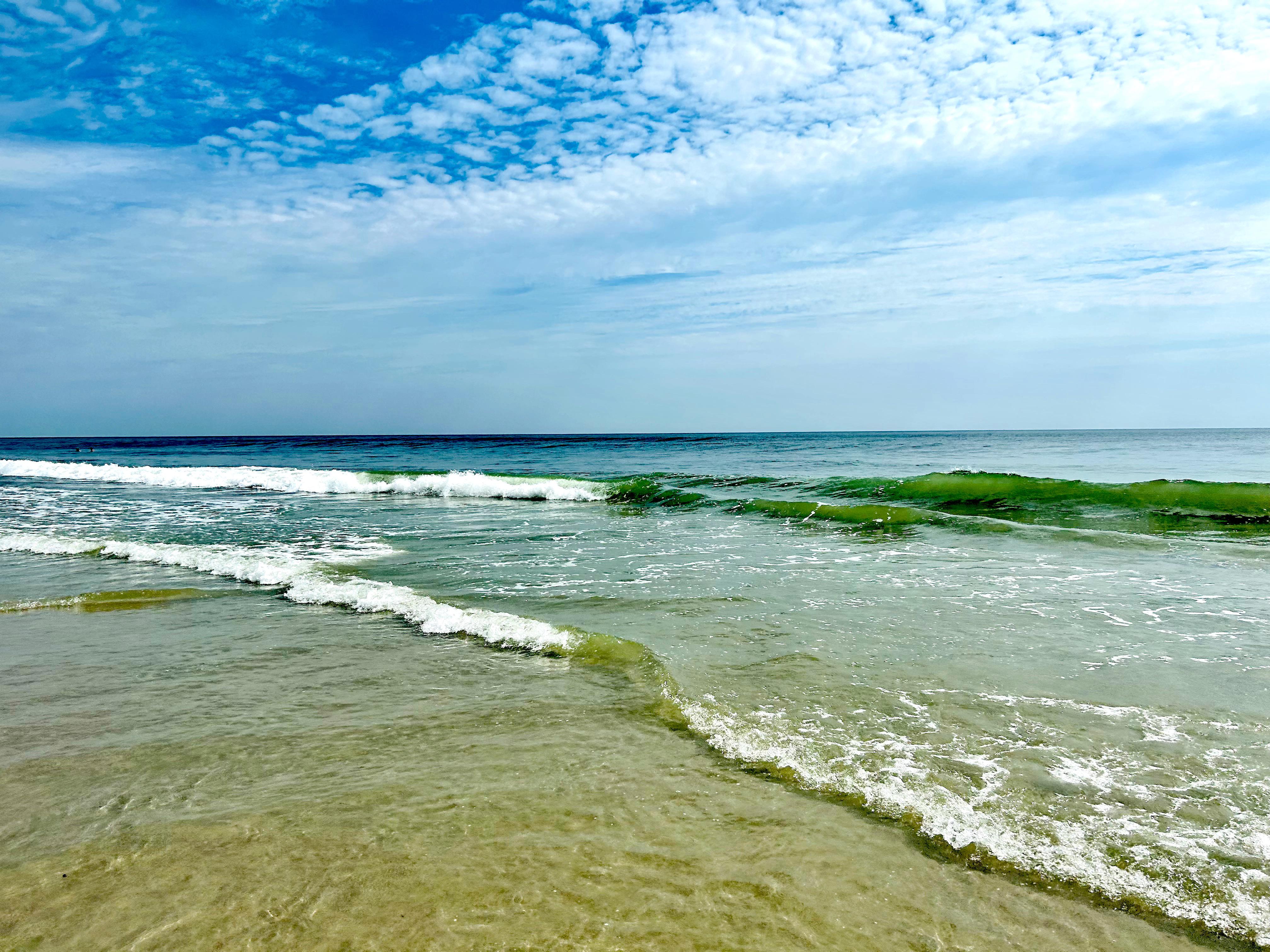 🌀🐬@jax beach, FL☕️🍍