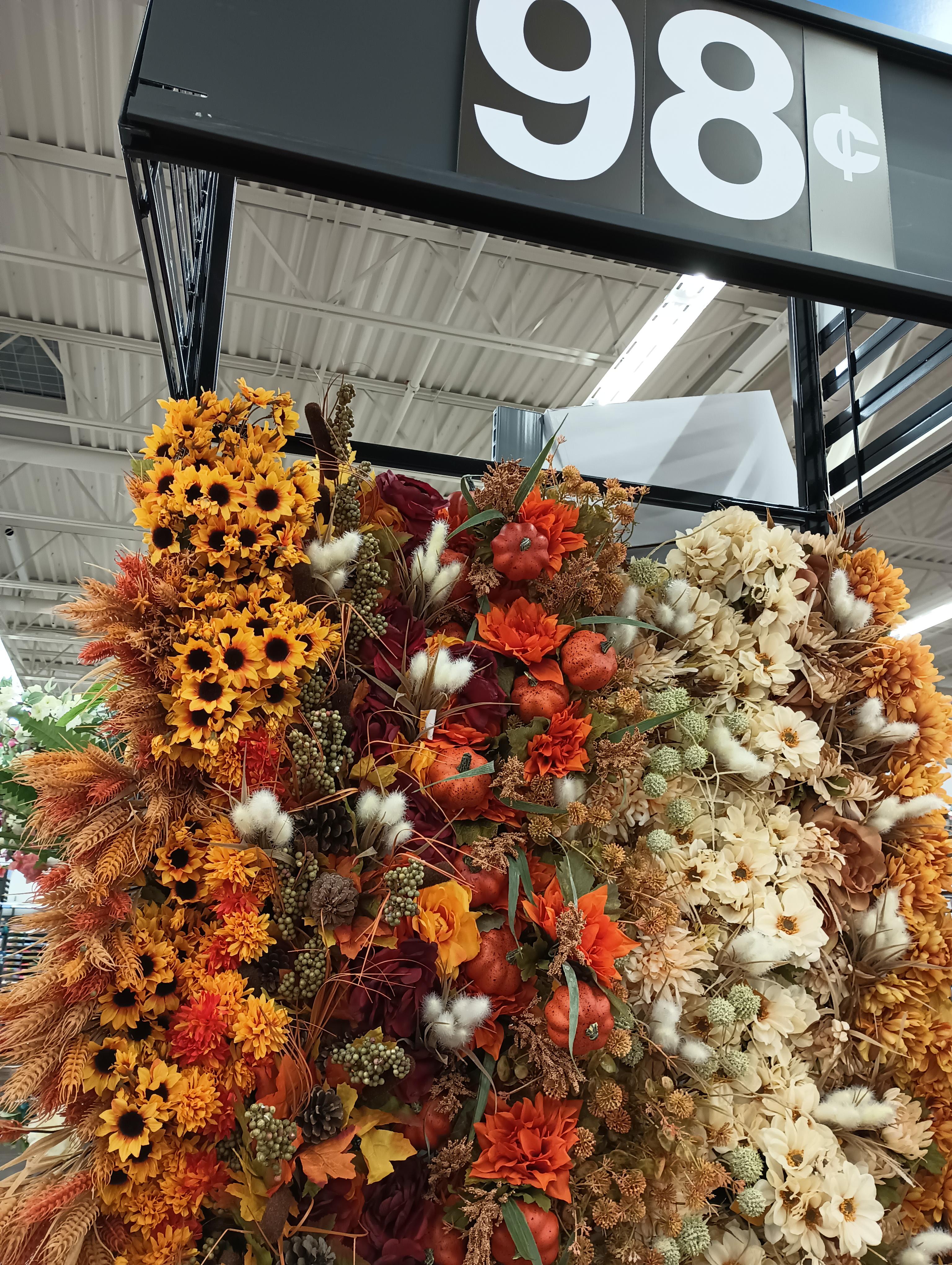 FALL SIGHTED