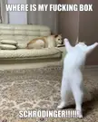 Doggo be like, "Dats none woof my business"