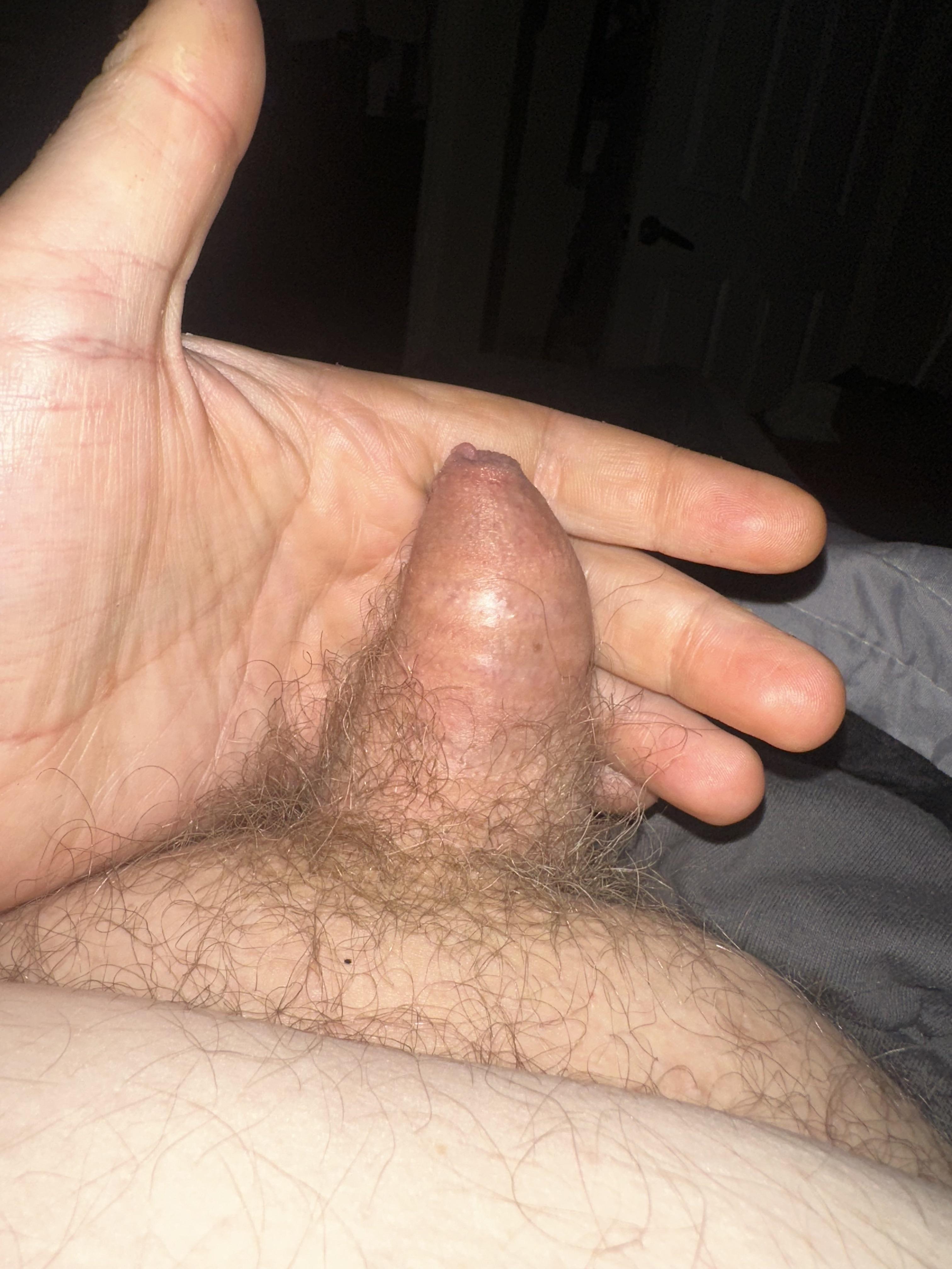 Chubby white man with a tattoo and dad bod posing for a pelfie in a bedroom
