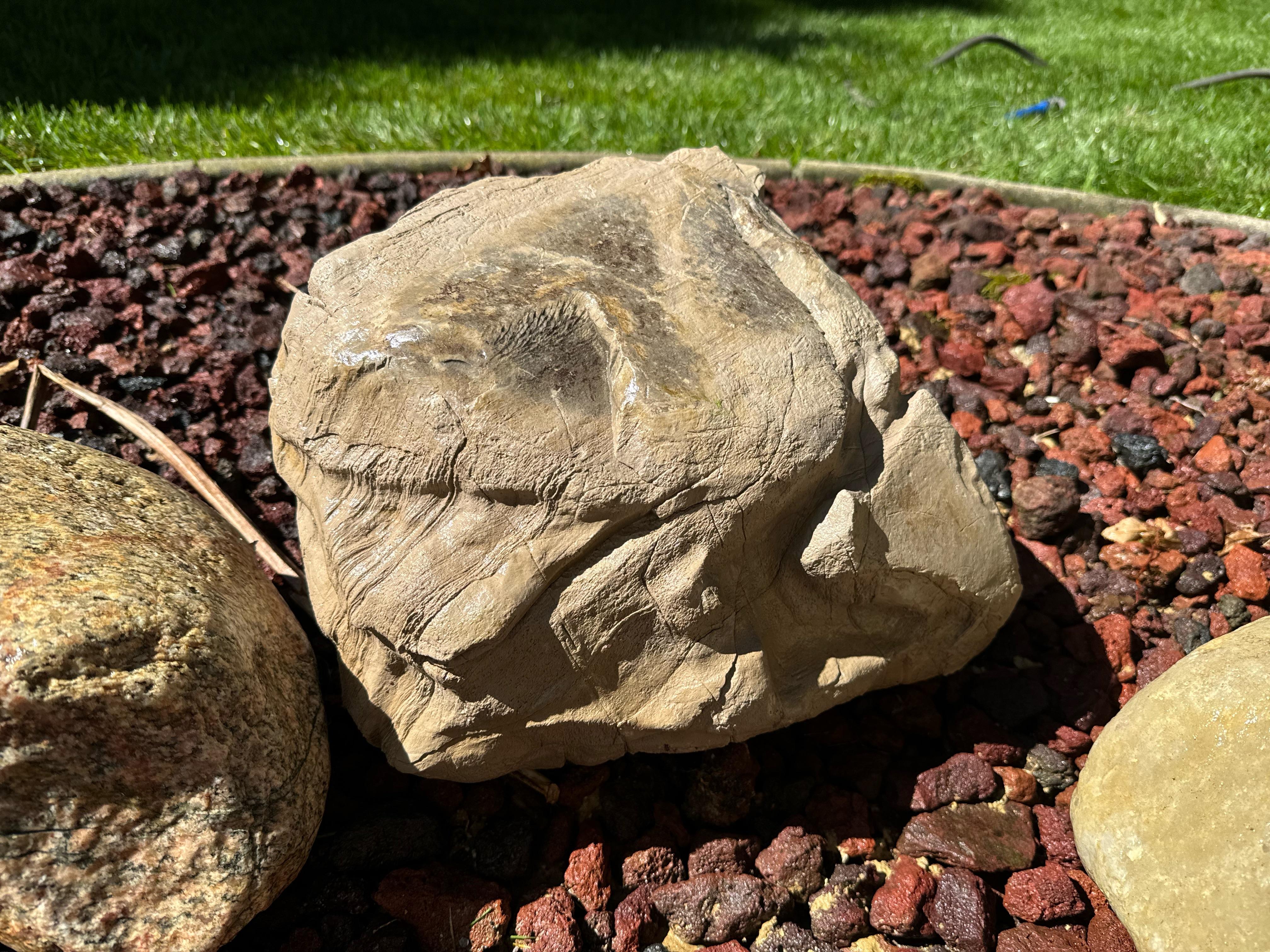Scrolller Rocks Anyone know what type of rock this is? | Scrolller