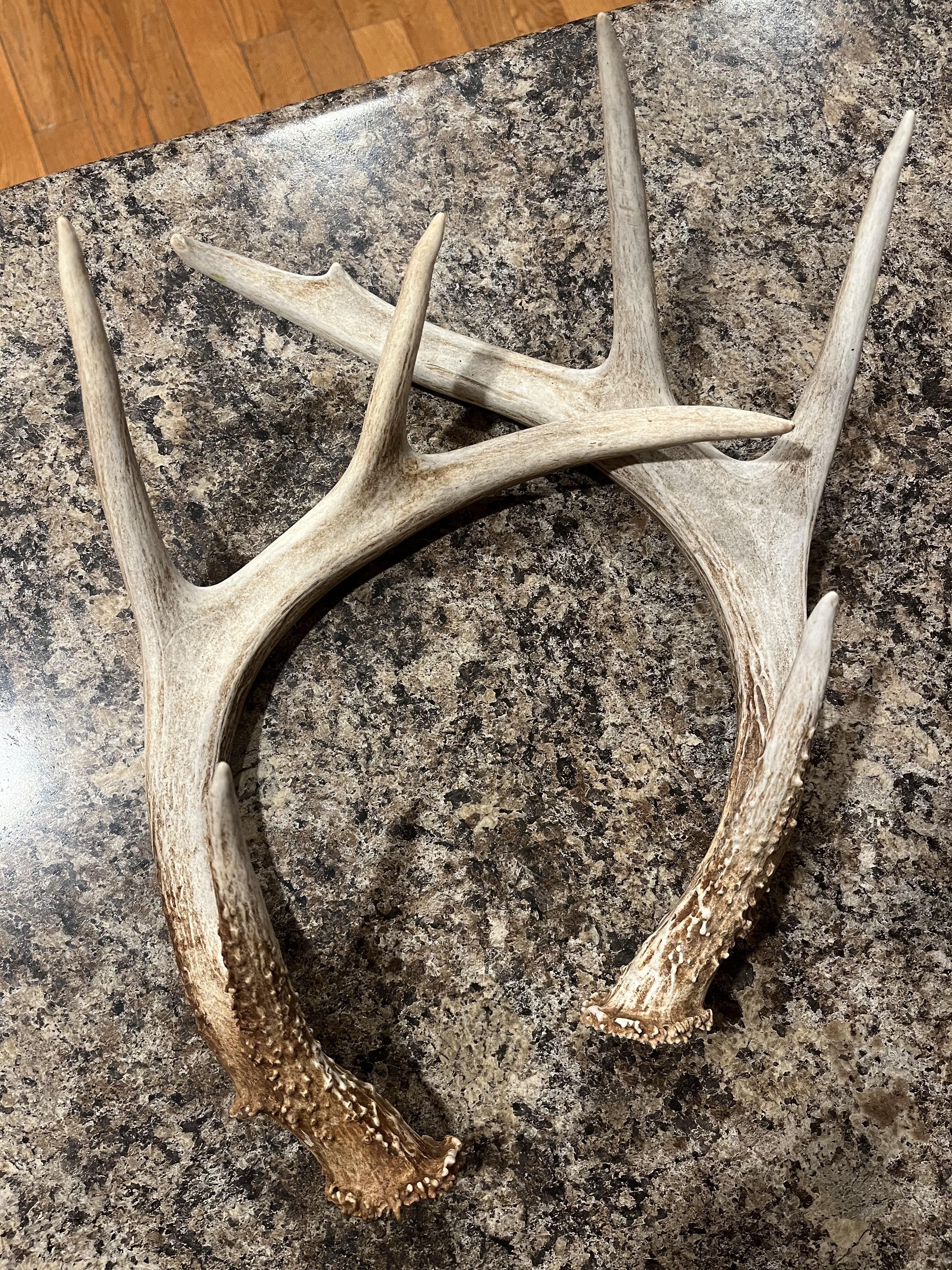 8 Point rack | Scrolller