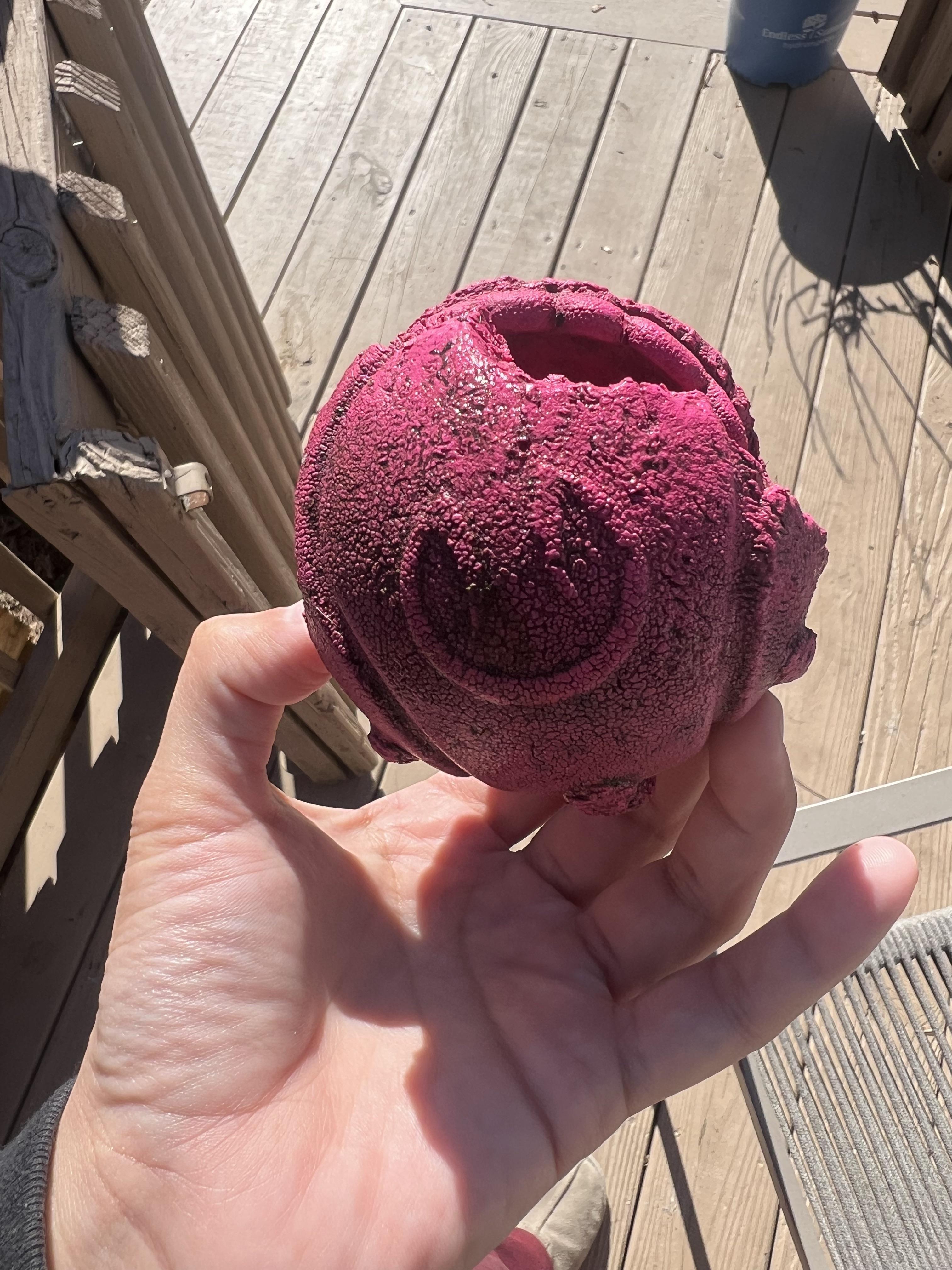 A person in a black hoodie holds a purple dinosaur-shaped bath bomb on an outdoor wooden deck.