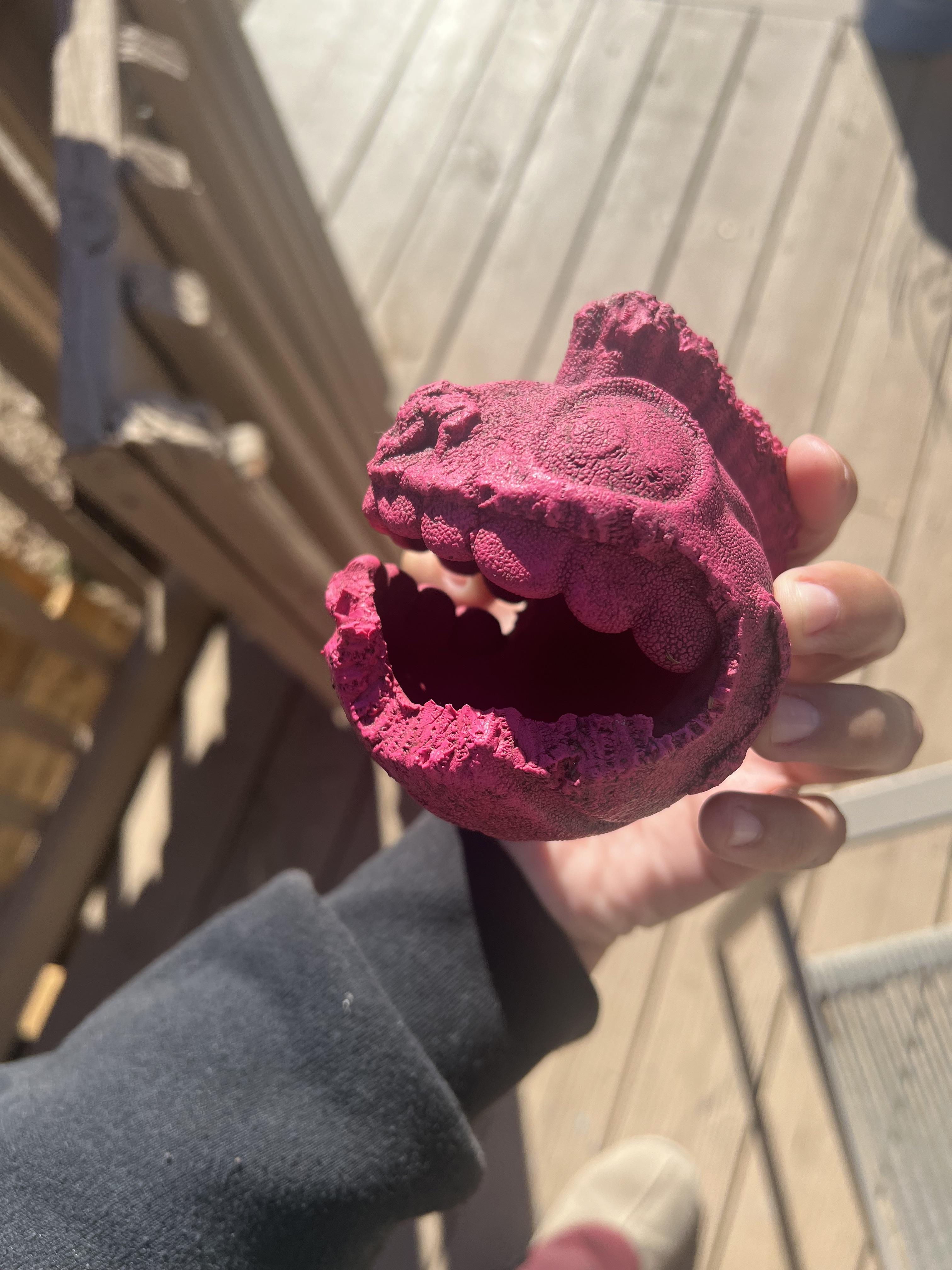 Help finding toy 