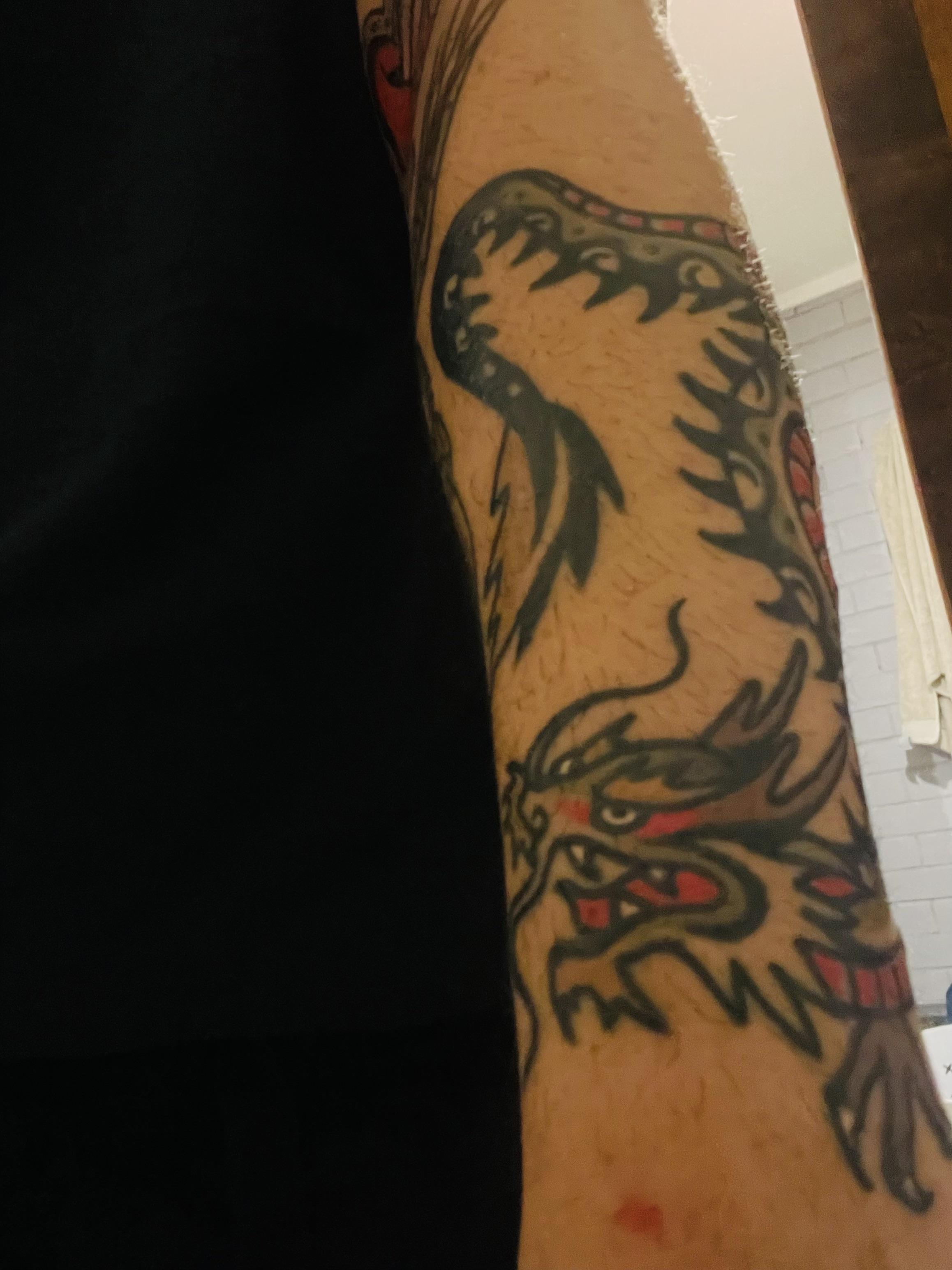 Fresh ditch heart plus 2 week old dragon. (The dragon was very hard to take a photo of by myself)