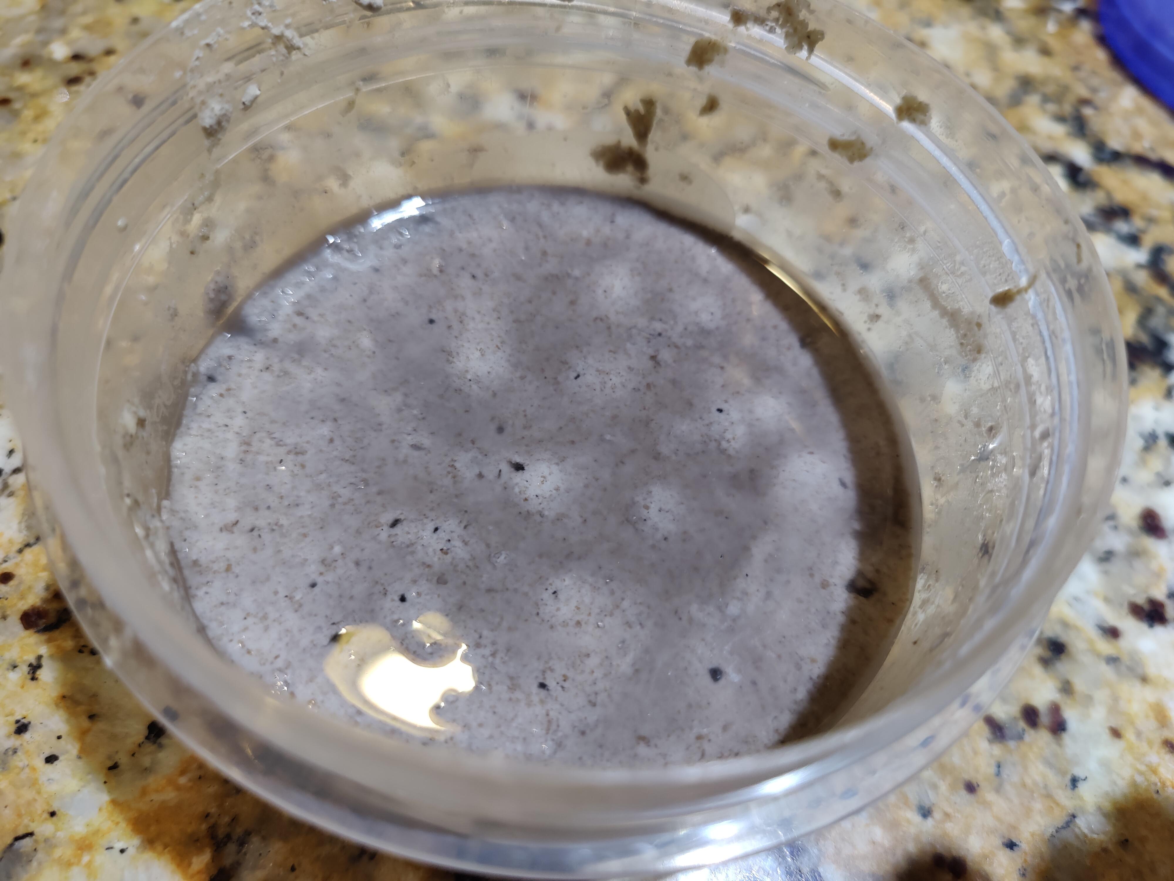 Discover More Like Breadit Oof Did Some Fridge Archaeology And discover-more-like-breadit-oof-did-some-fridge-archaeology-and