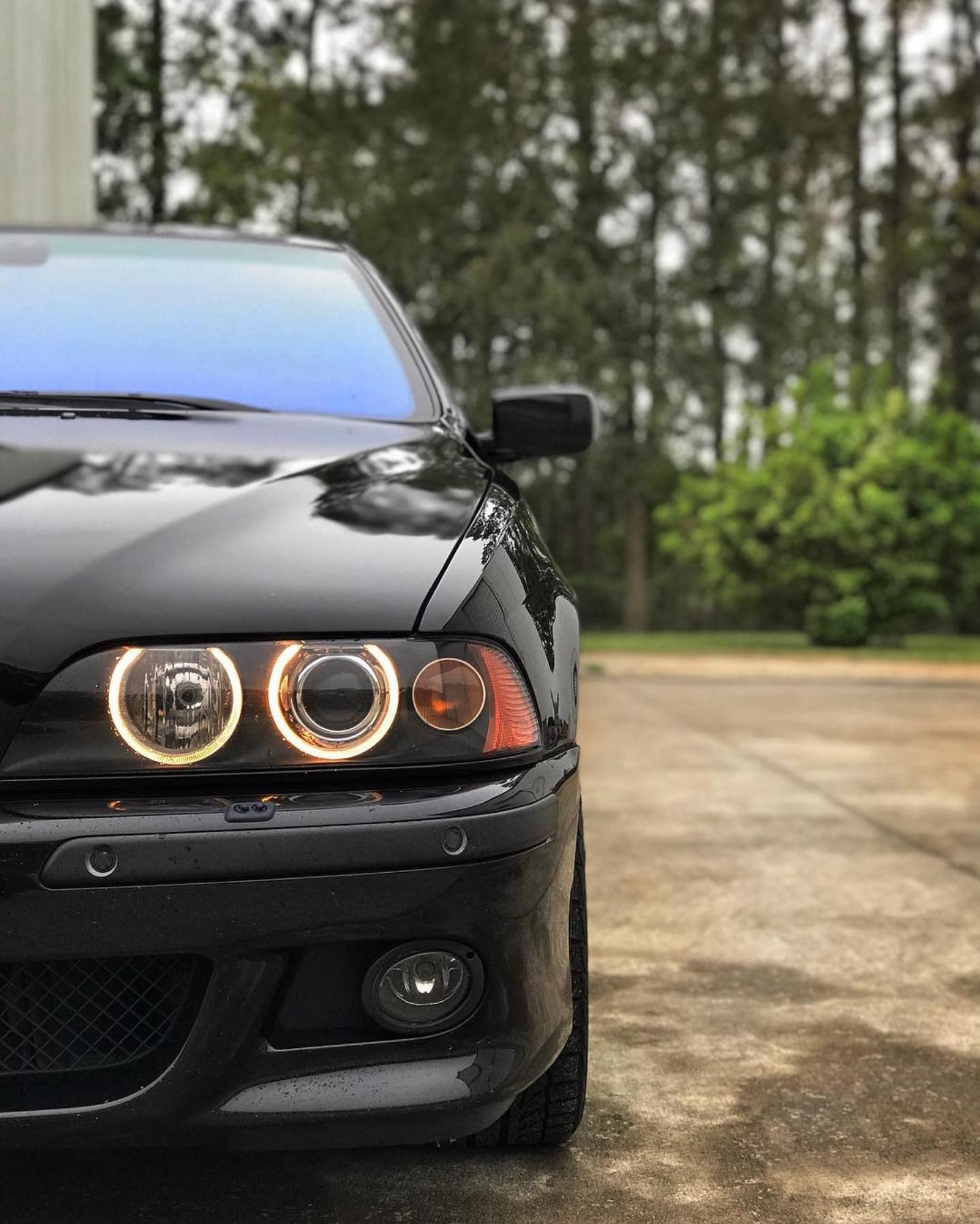 Back view of a black BMW 540i sedan parked on a wet concrete driveway surrounded by trees
