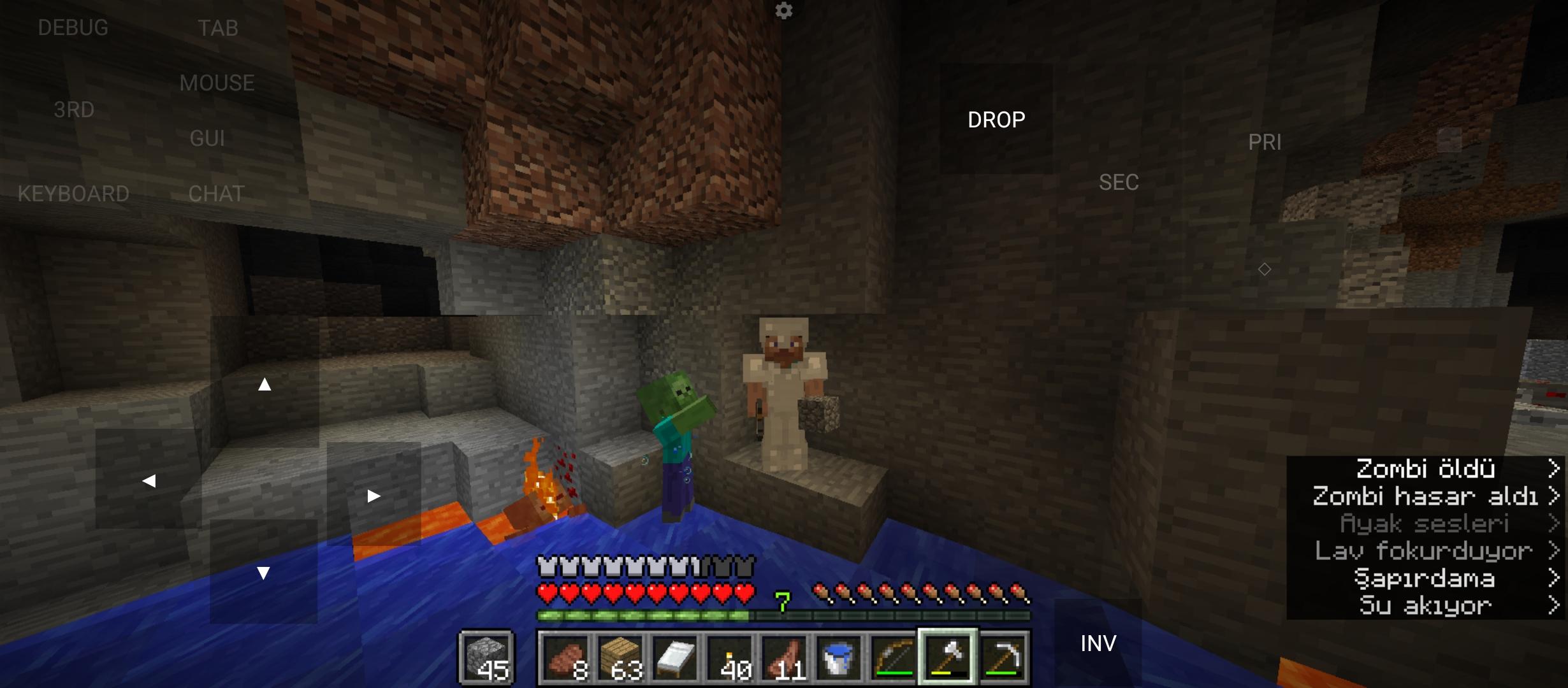 Minecraft survival builds featuring a starter base and a blocky avatar with a blue shirt fighting zombies and skeletons