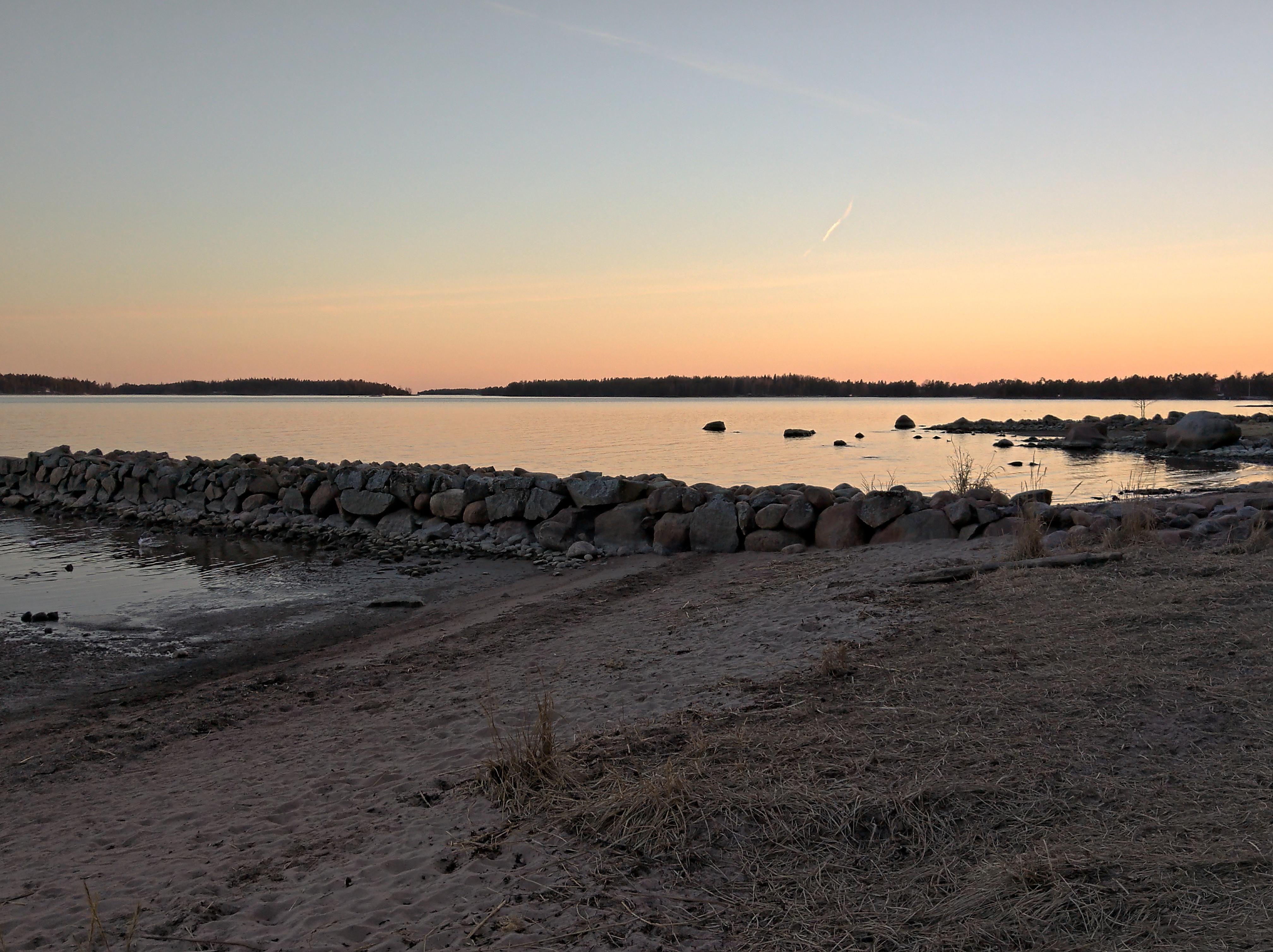 Spring evening by the sea in Southern Finland with a large boulder on a sandy shore and pine tree branches