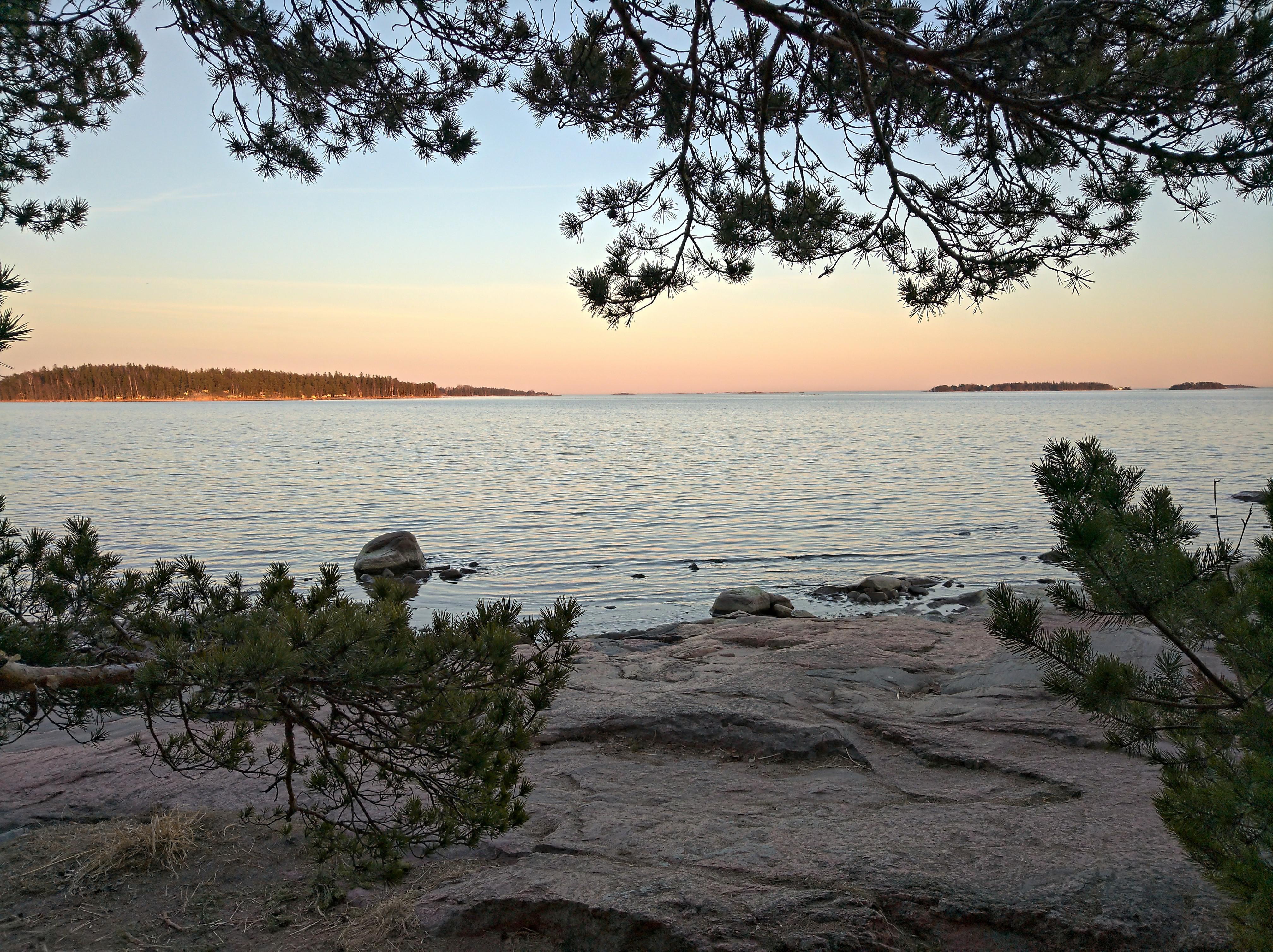 Spring evening by the sea in Southern Finland with a large boulder on a sandy shore and pine tree branches