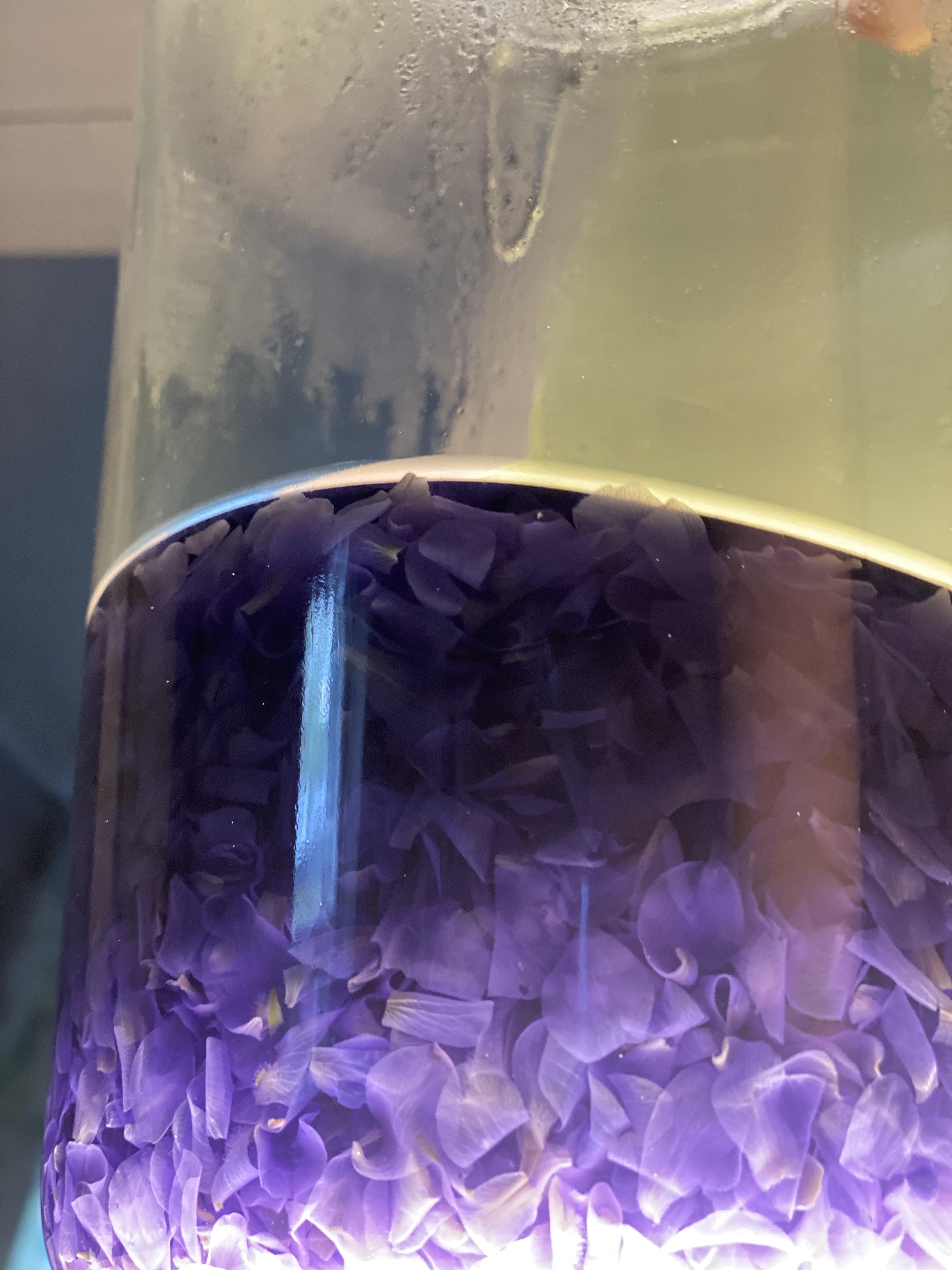Wild violet simple syrup process from garden flowers in a metal pot to a glass bottle of purple liquid
