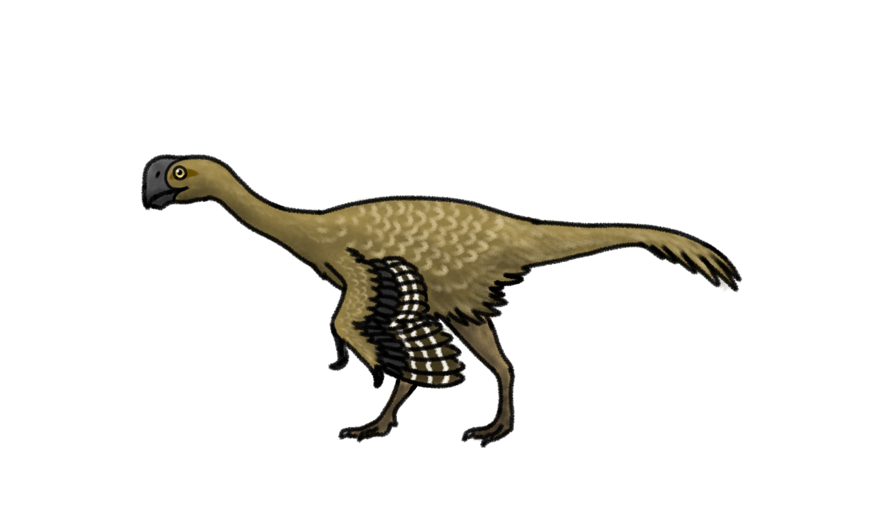 Oviraptor philoceratops - male and female